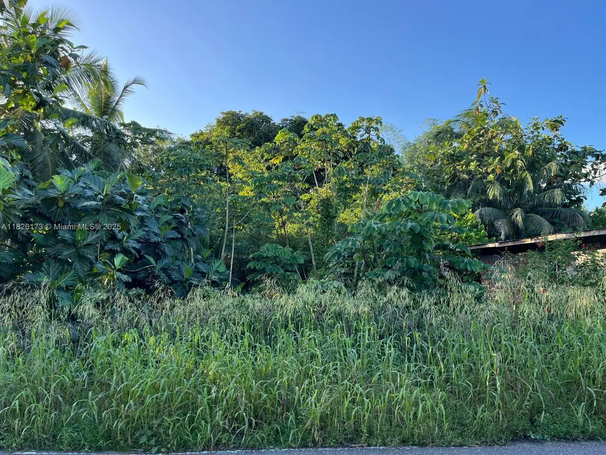 Nestor Village Sangre Grande, Adin Lookout, CA 00000 - #1