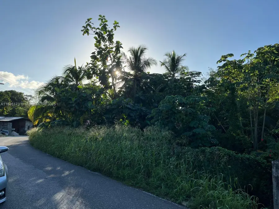 Nestor Village Sangre Grande, Adin Lookout, CA 00000 - #2