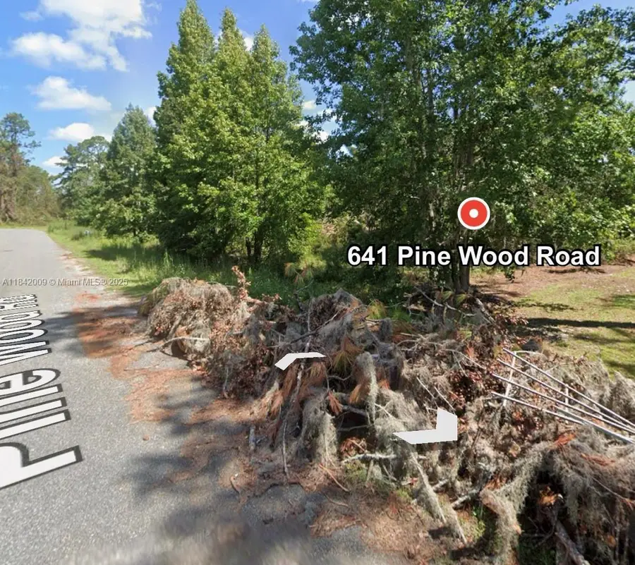 641 Pine Wood Rd, Jasper, FL 32052 - #3