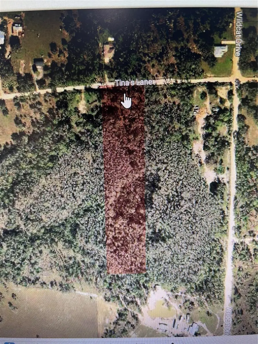 22870 Tinas Lane, Fort Myers, FL 33913 - #2