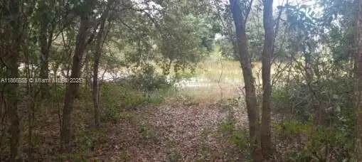 1708 Columbus Avenue, Lehigh Acres, FL 33972 - Image #3