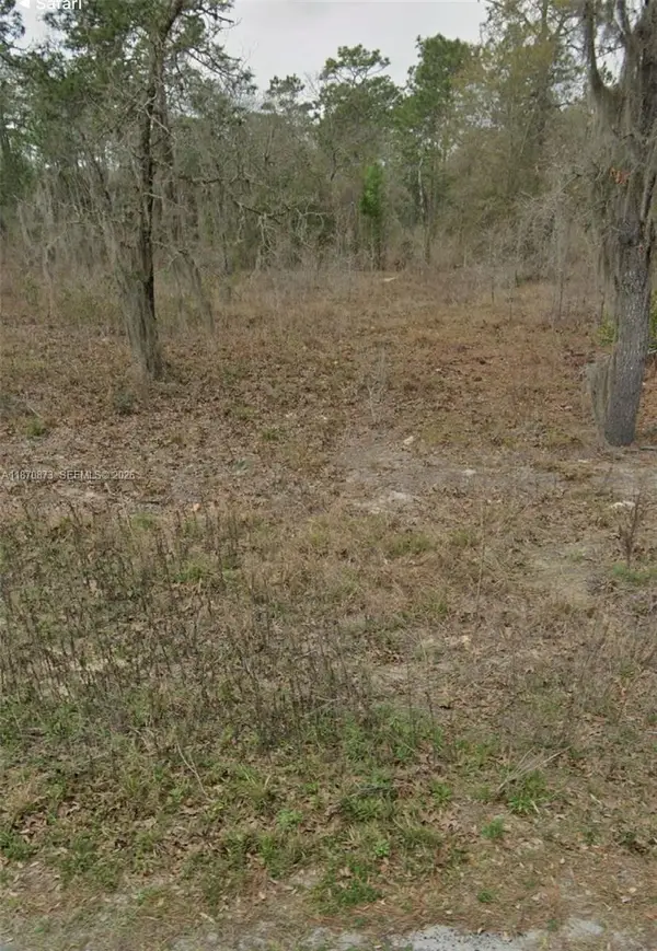 UNDETERMINED SW 130th Ave, Other, FL 34432