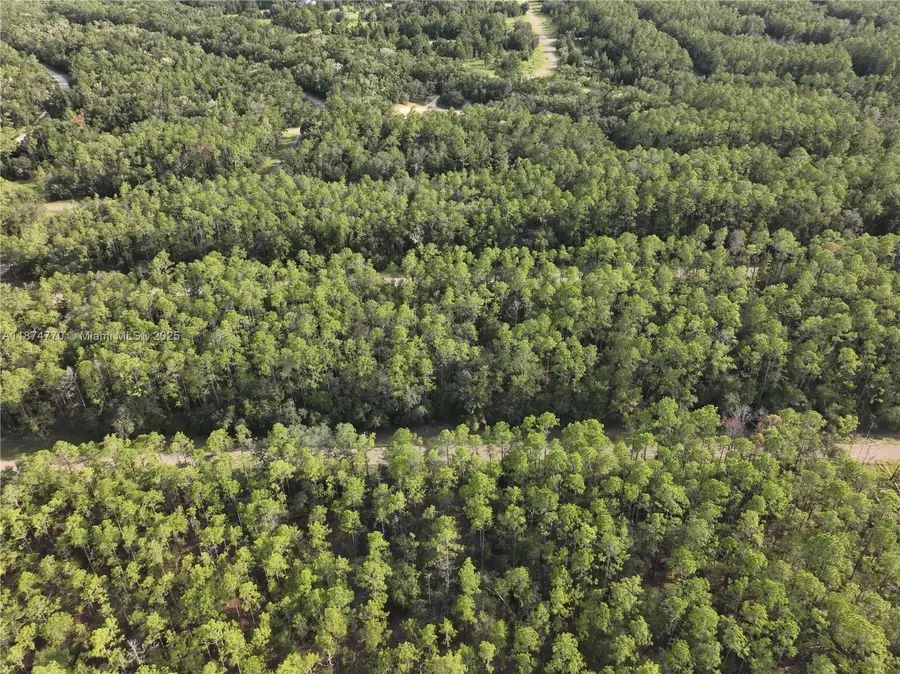 598 E Marquette Ln, Citrus Springs, FL 34434 - #2