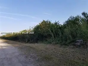 121 St Sw, Unincorporated Dade, FL 33035