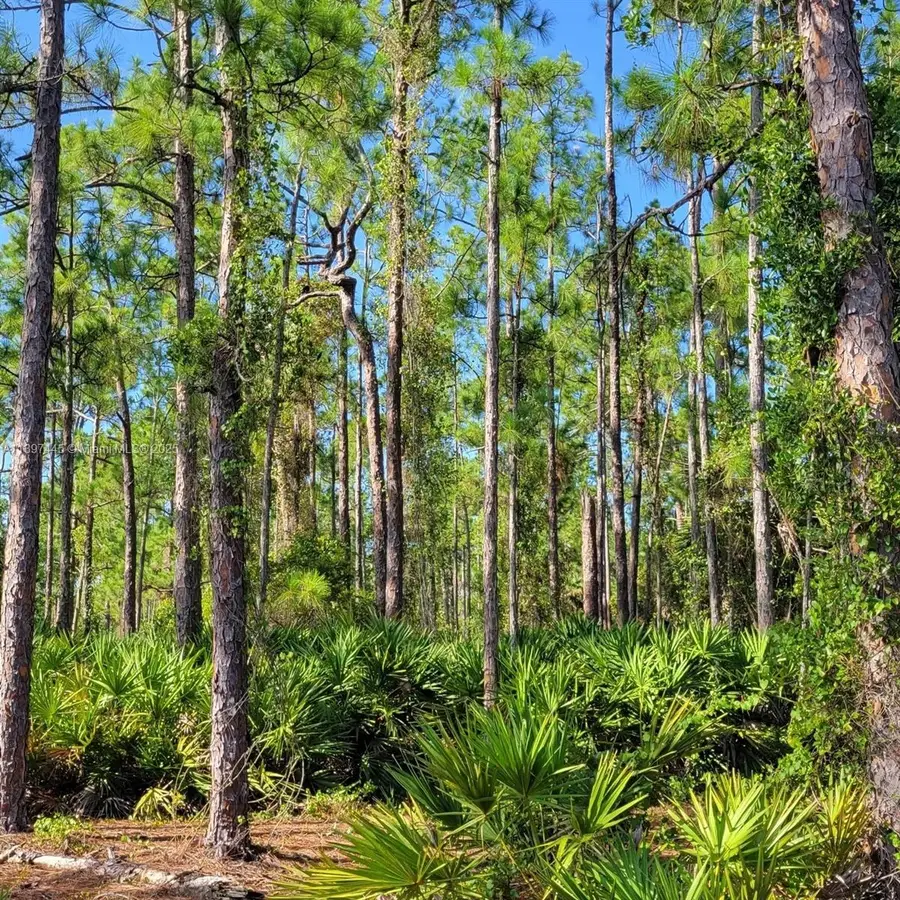 3706 Leeland Heights Blvd E, Lehigh Acres, FL 33936 - #3