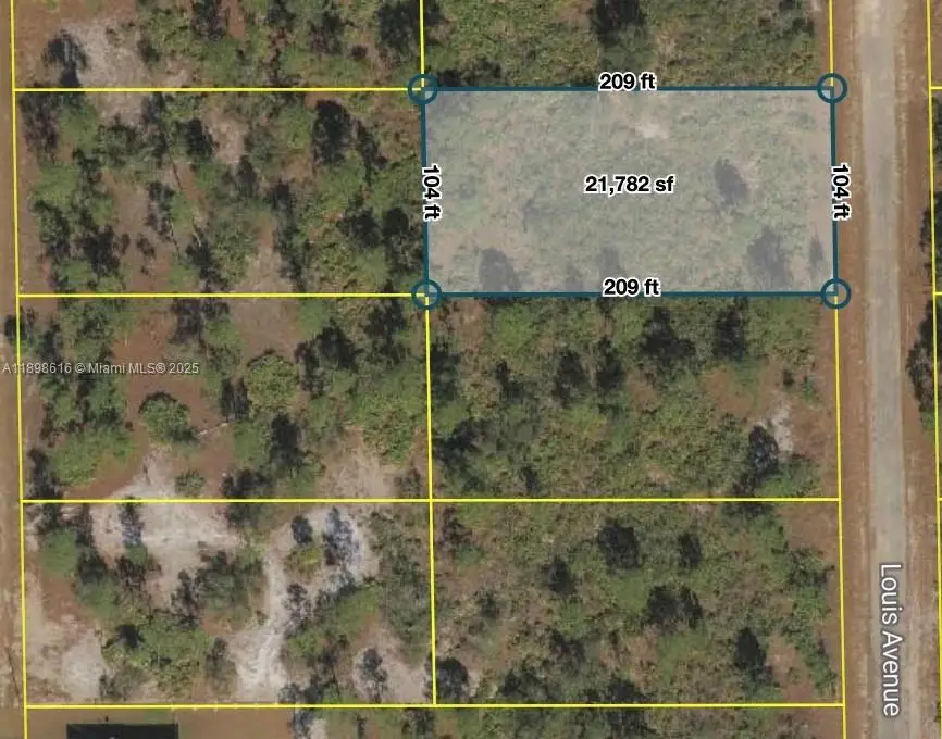 511 Louis Ave, Lehigh Acres, FL 33972 - Image #1
