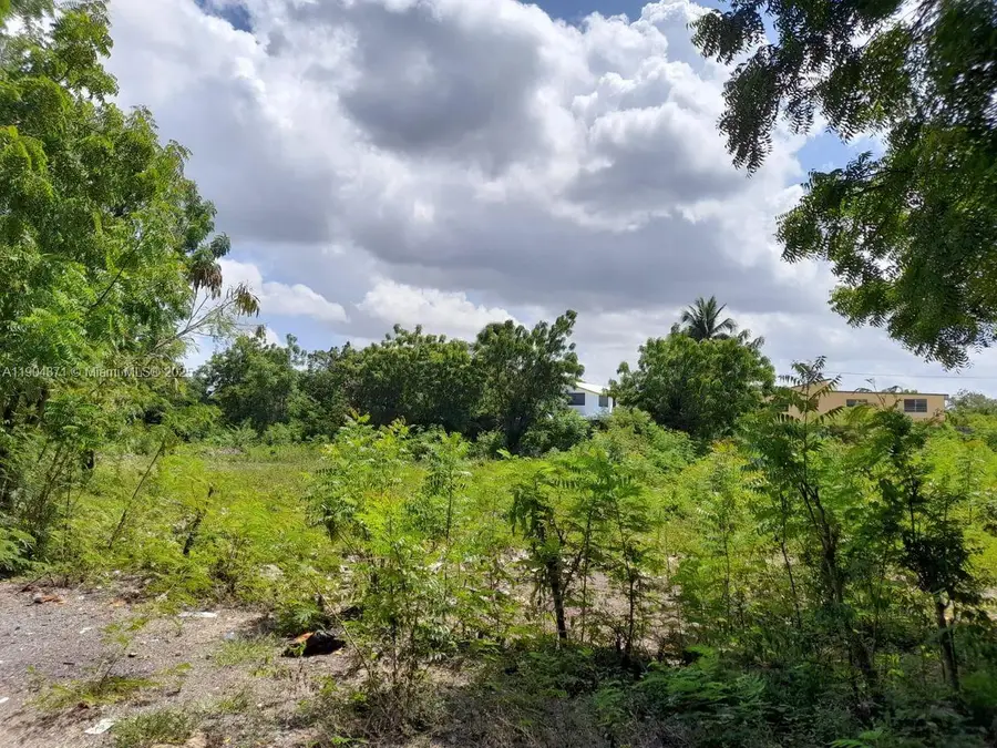 Autovia del Este Autoria Del Este, Grant, FL  - #3