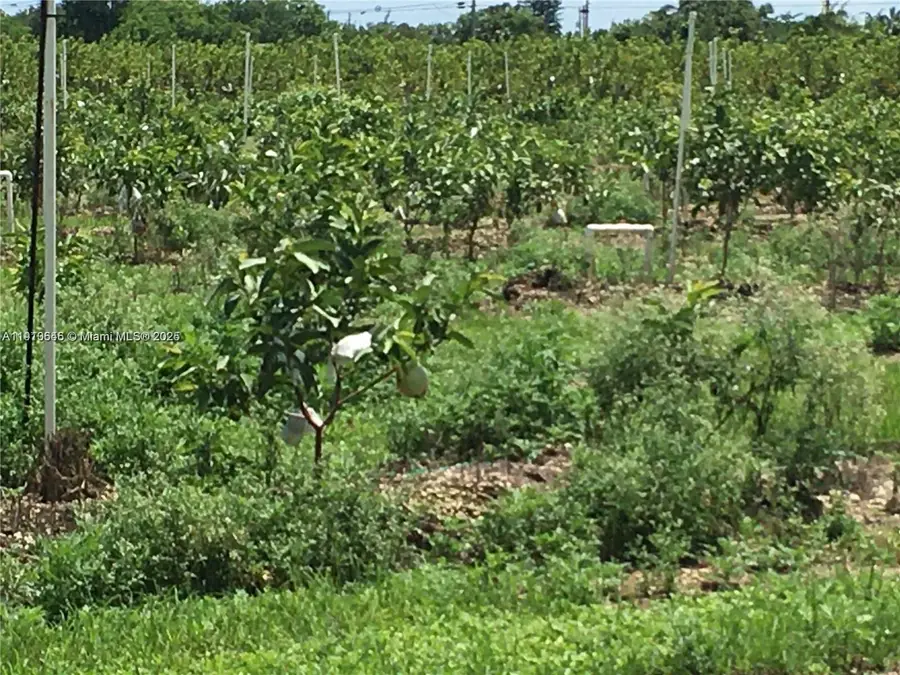 15000 SW 256 St., Homestead, FL 33032 - Image #2