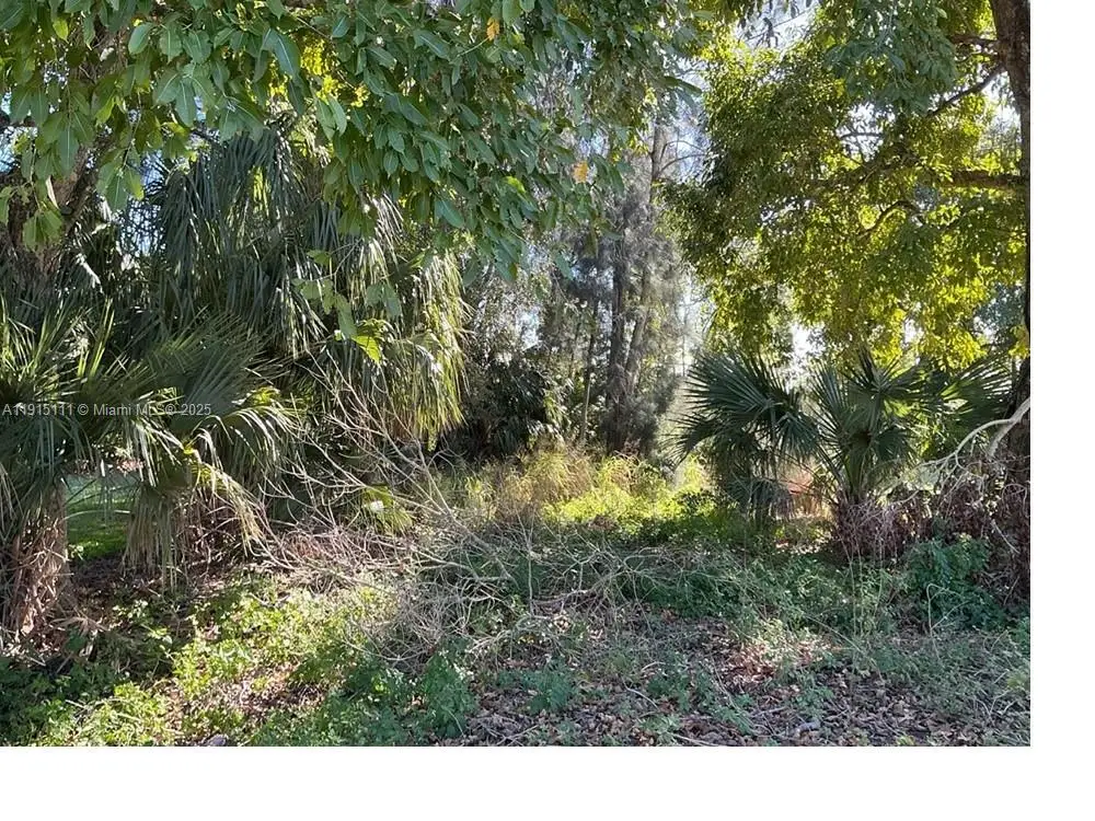 1146 Della Tobias Ave, Harlem, FL 33440 - #1