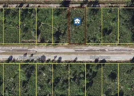 0 Palm, Indian Lake Estates, FL 33855 - #1