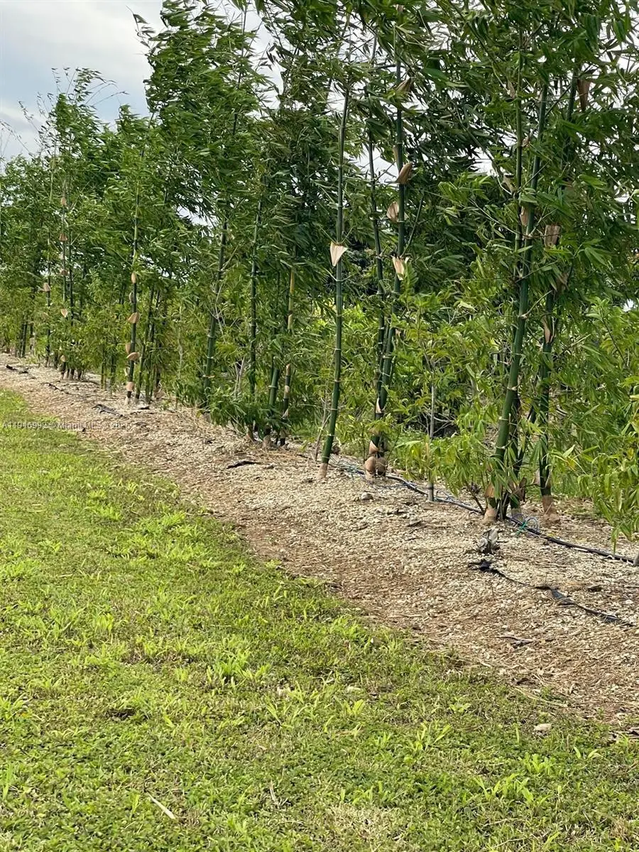 Address Withheld By Seller, Homestead, FL 33034 - Image #3