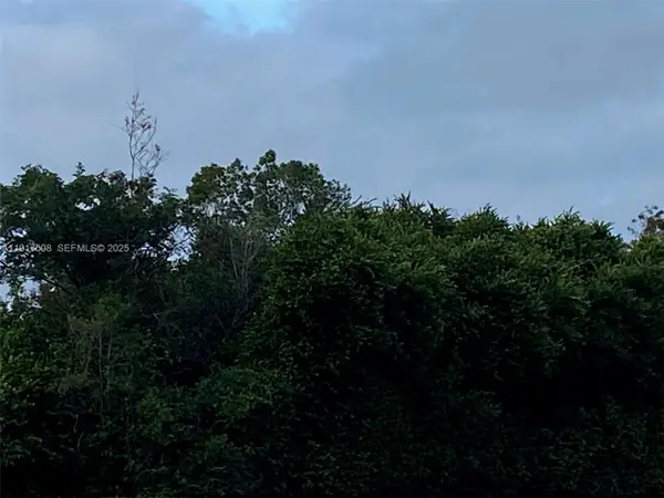 749 Puccini Avenue S, Lehigh Acres, FL 33974