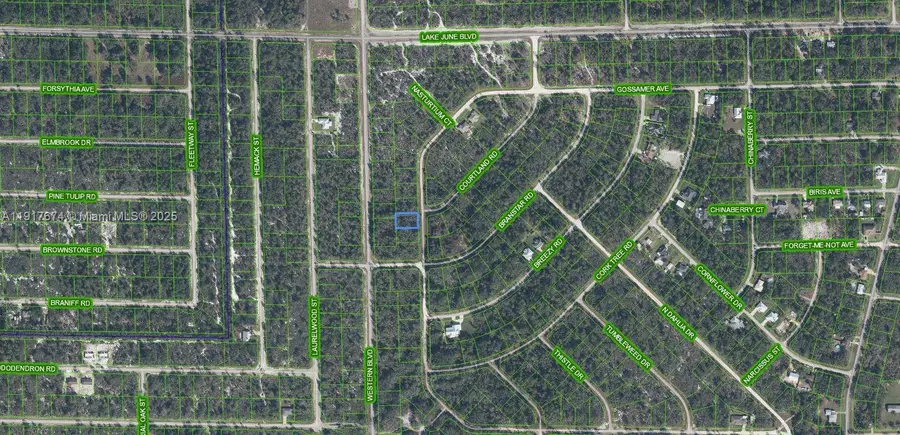 3292 Gossamer Avenue, Lake Placid, FL 33852 - Image #2