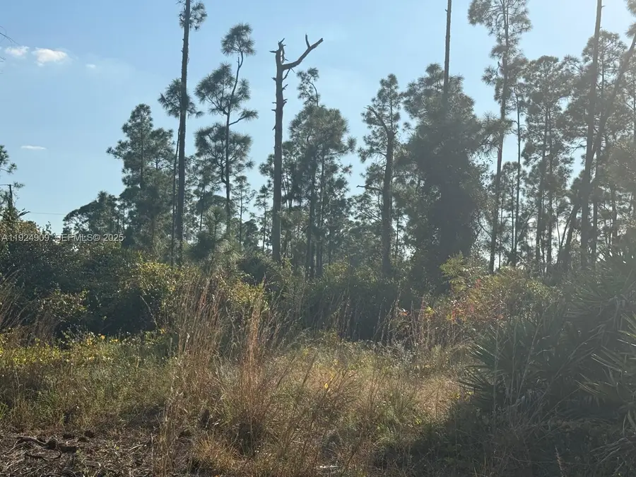 1088/1090 Ainsworth St E, Lehigh Acres, FL 33974 - #3