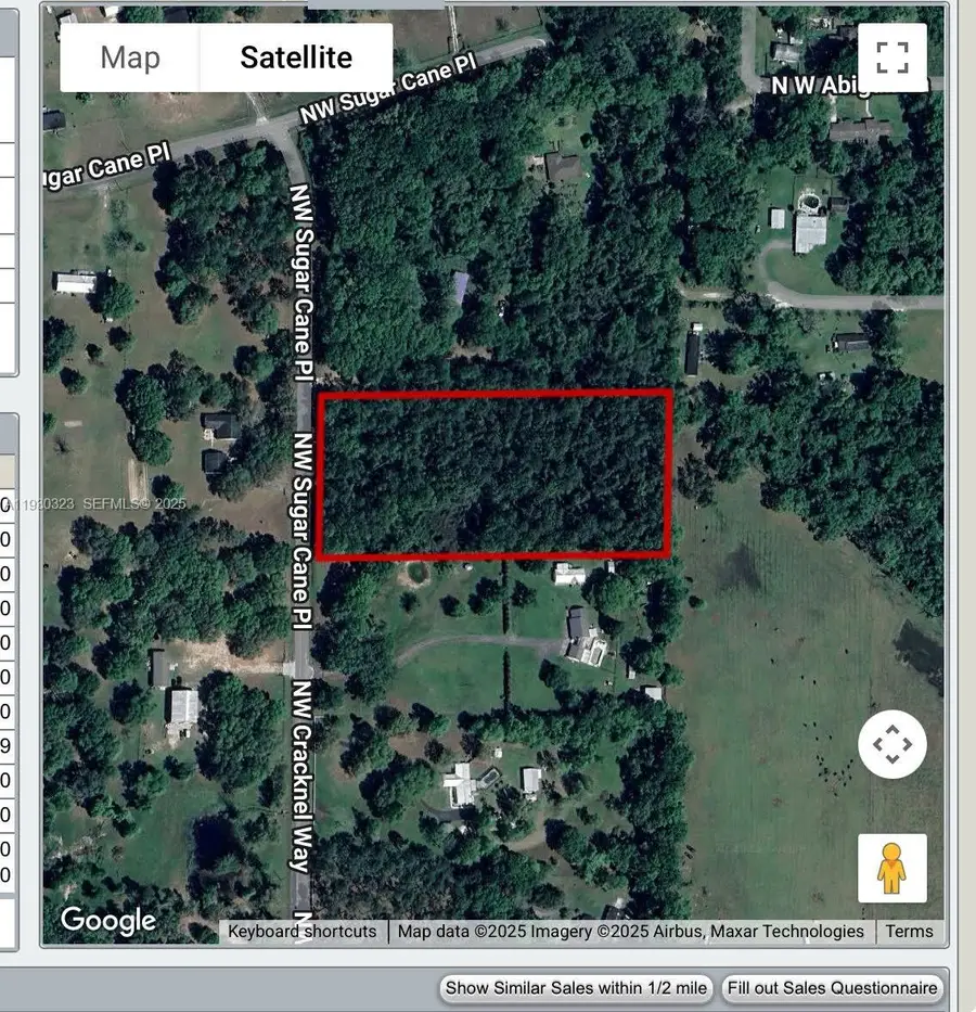 Suwannee Hills, Other, FL 32055 - #3