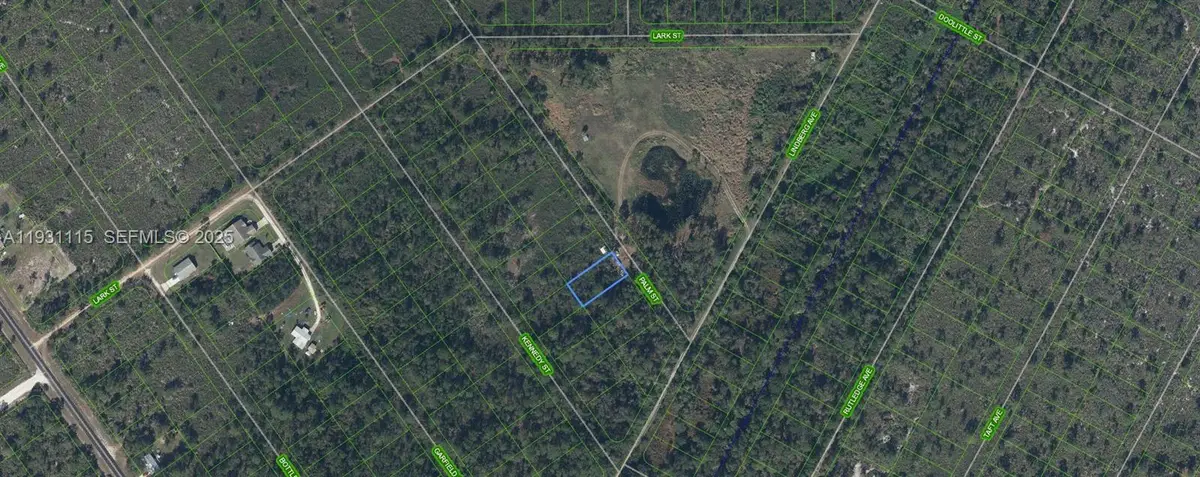 546 Palm Street, Lake Placid, FL 33852 - Image #1