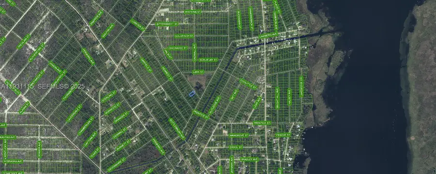 546 Palm Street, Lake Placid, FL 33852 - Image #3