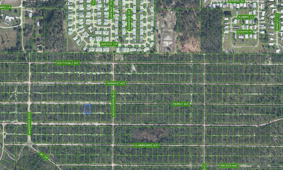 617 Parrot Ave, Sebring, FL 33872 - Image #2