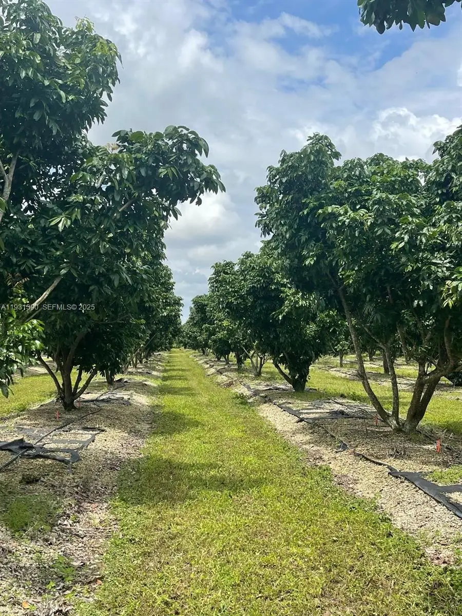 340XX SW 217 Ave, Homestead, FL 33034 - Image #1