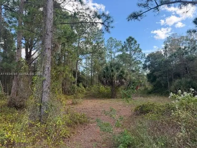 345 N Isora, Clewiston, FL 33440 - Image #3