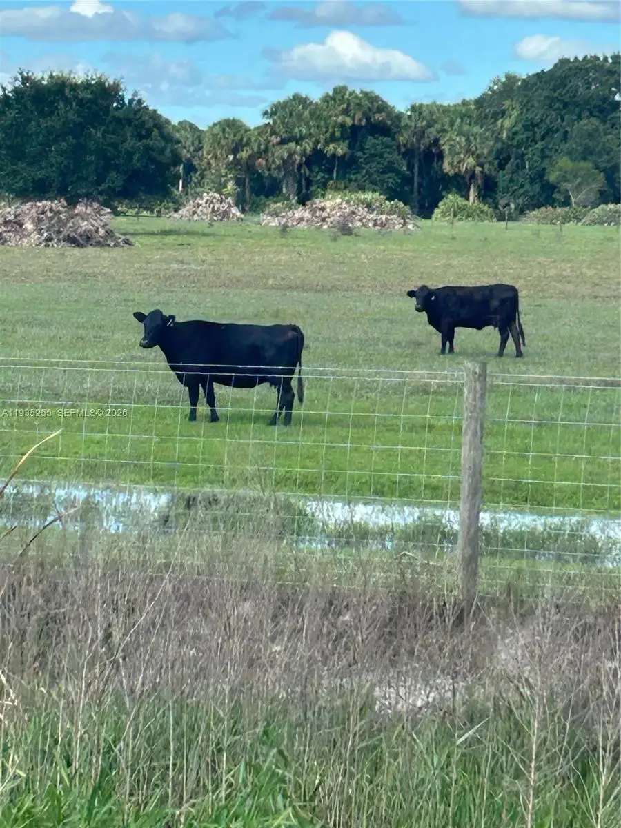 NW 72 Ave, Okeechobee, FL 34972 - #2