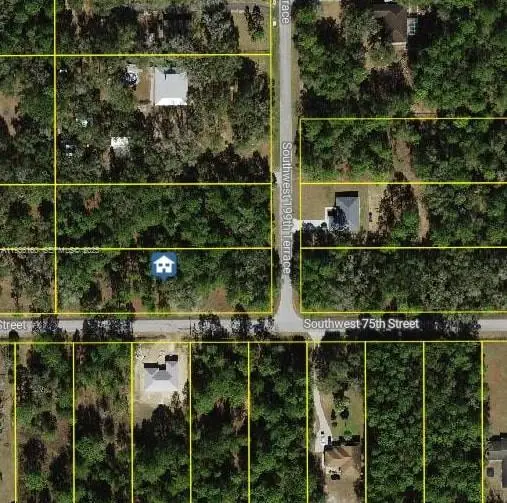 No Street, Other, FL 34431