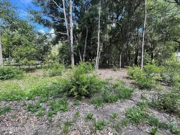 210 Pine St, Other, FL 32640
