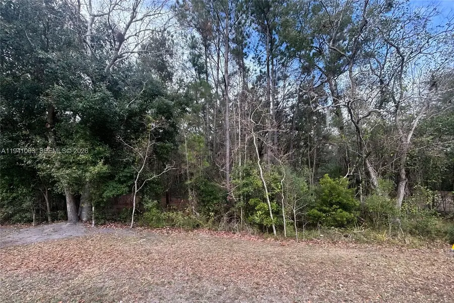0 Landward, Middleburg Clay Hill, FL 32068 - #2