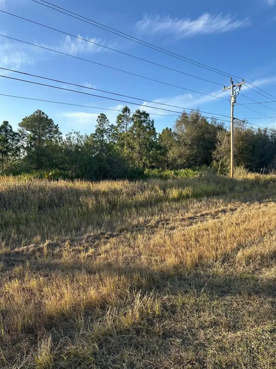 410 Columbus Blvd, Lehigh Acres, FL 33974 - Image #2