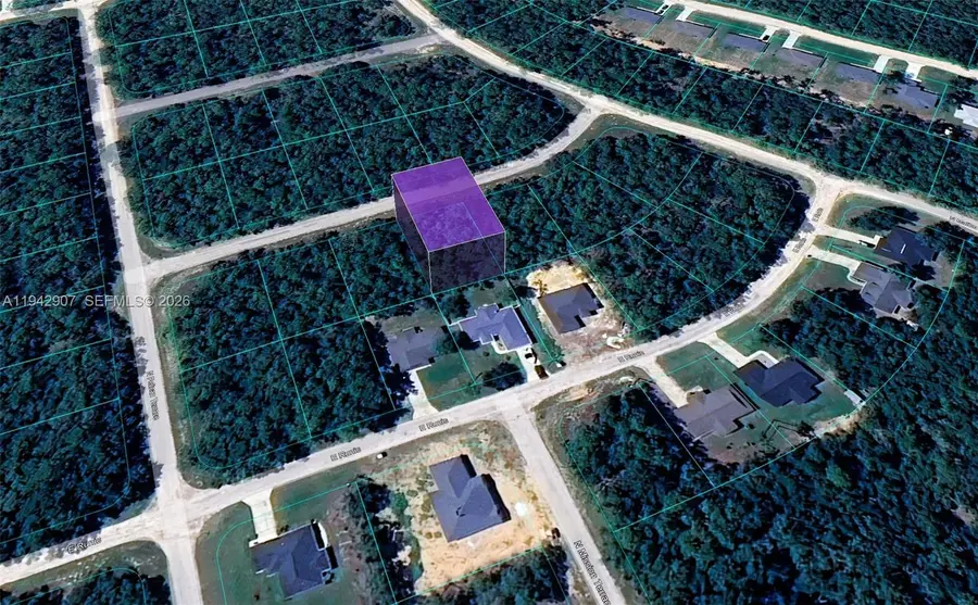 165 E Simms Lane, Citrus Springs, FL 34434 - Image #2