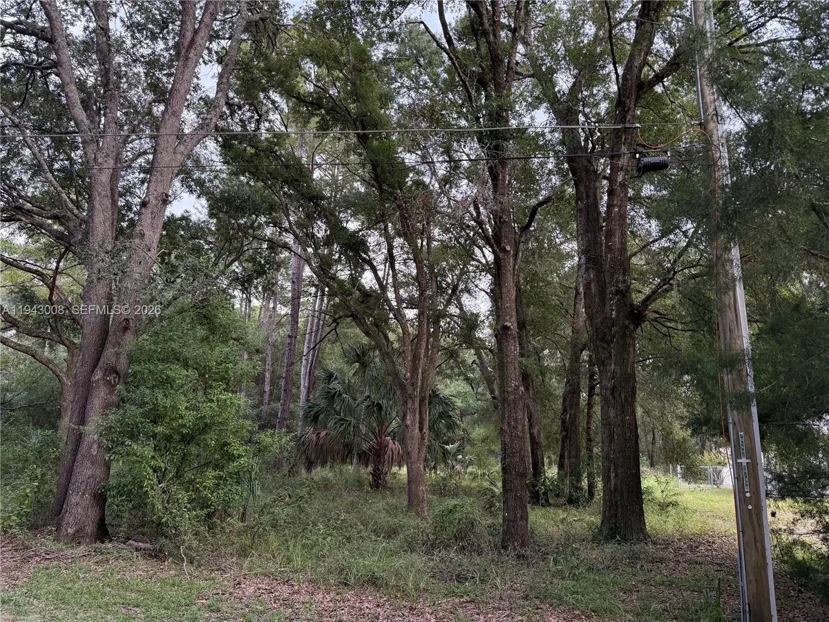0 St Benedict Dr, Dunnellon, FL 34432 - #1