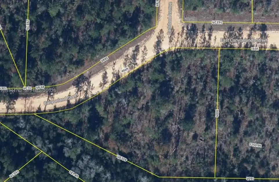 Canyonland Street East Canyonlands St, Other, FL 32420 - #1
