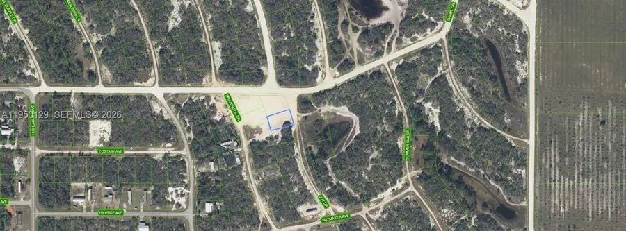 132 Joy Drive, Lake Placid, FL 33852 - Image #2