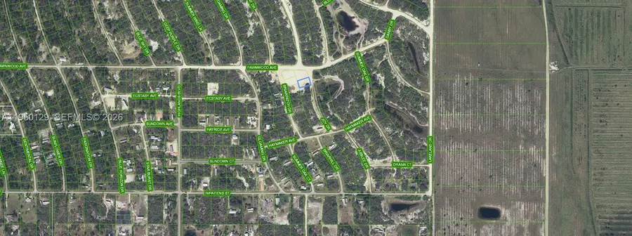 132 Joy Drive, Lake Placid, FL 33852 - Image #3