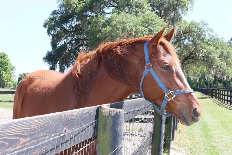 7787 NW 150th Ave, Fellowship, FL 32668 - #2