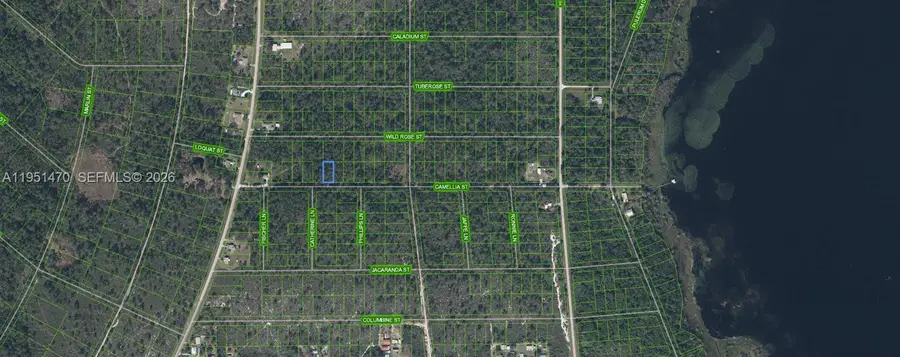 1412 Camellia Street, Lake Placid, FL 33852 - #2