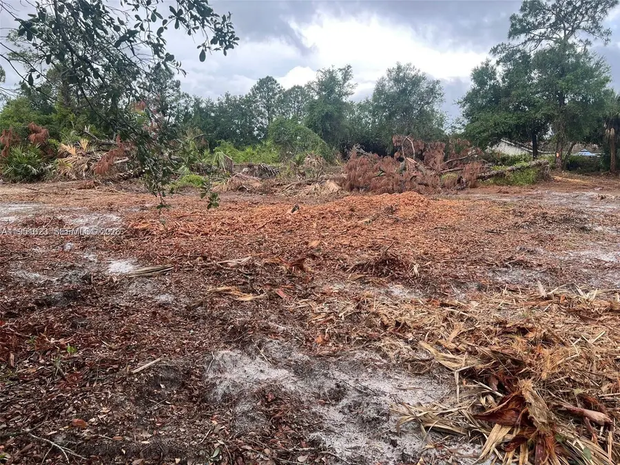 17 Rosevelt Ave, Lehigh Acres, FL 33936 - Image #3