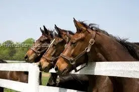 12570 SW 45th St, Miami, FL 33175 - Image #2