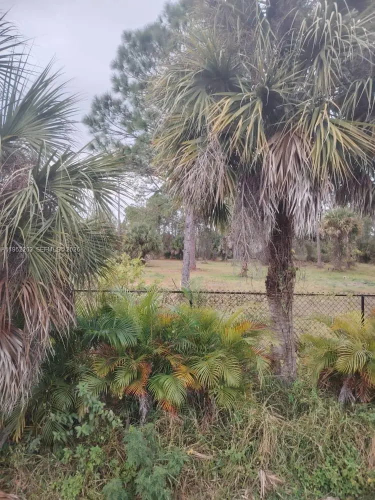 615 621 Hunting Club Ave, Clewiston, FL 33440 - Image #2