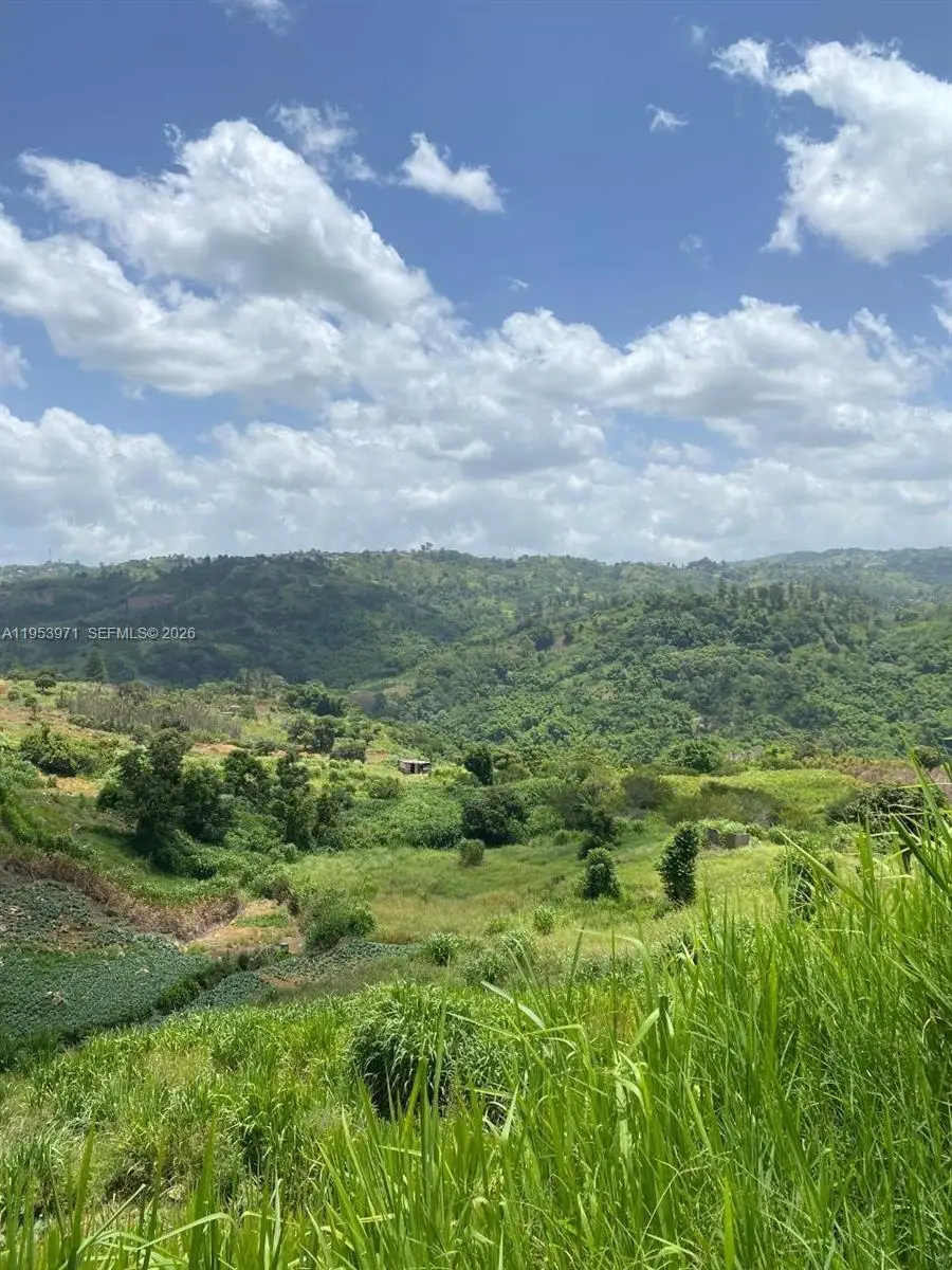 1 Colleyville, Manchester, Jamaica, Manchester, FL  - #1