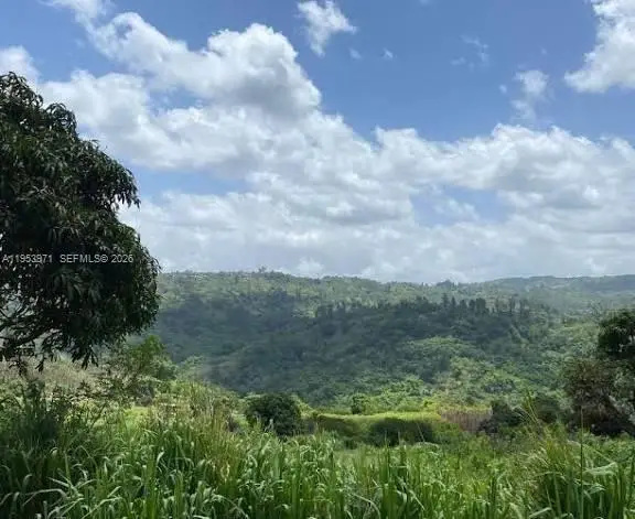 1 Colleyville, Manchester, Jamaica, Manchester, FL  - #2