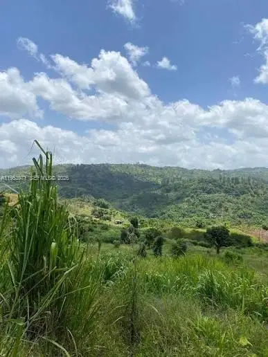 1 Colleyville, Manchester, Jamaica, Manchester, FL  - #3