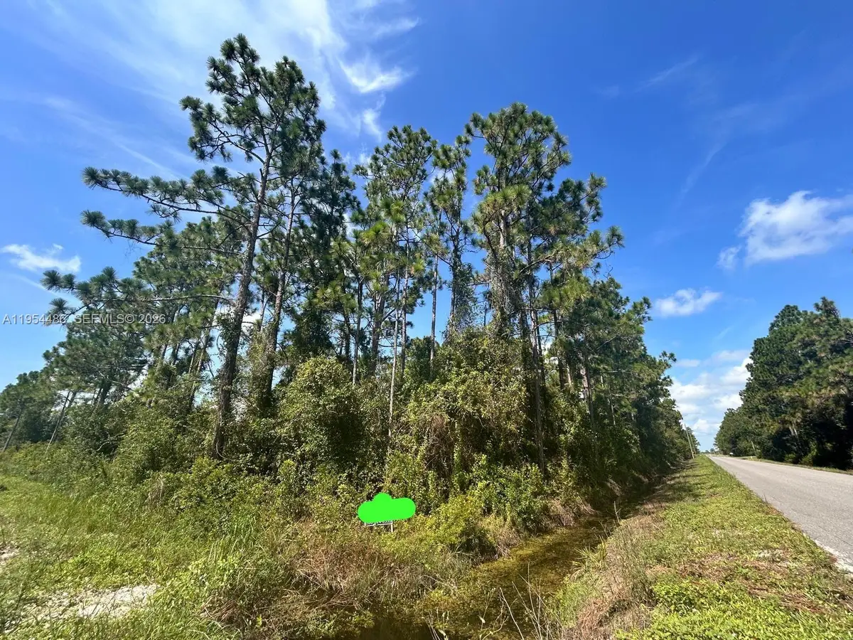 966 NW Challenger, Lake Placid, FL 33852 - #1