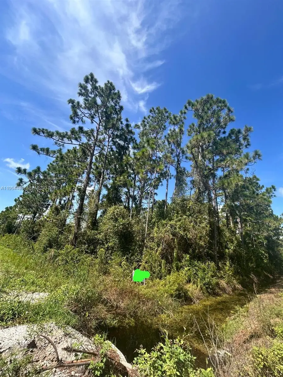 966 NW Challenger, Lake Placid, FL 33852 - #2