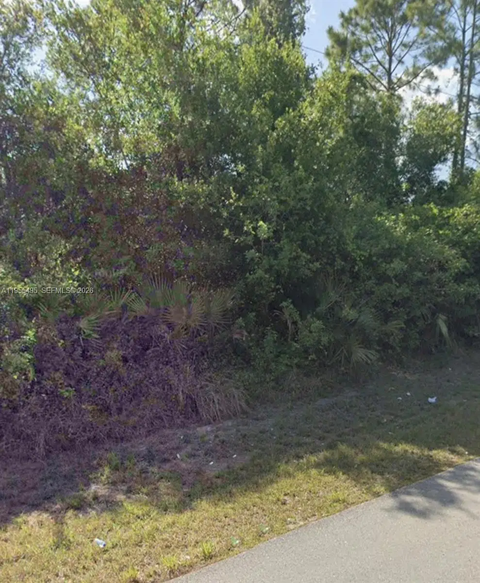 702 Denis Ave N, Lehigh Acres, FL 33971 - Image #1
