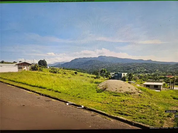 Urb Mirador De Palmer . Solar 41 Rio Grande, Rio Grande, PR 00745