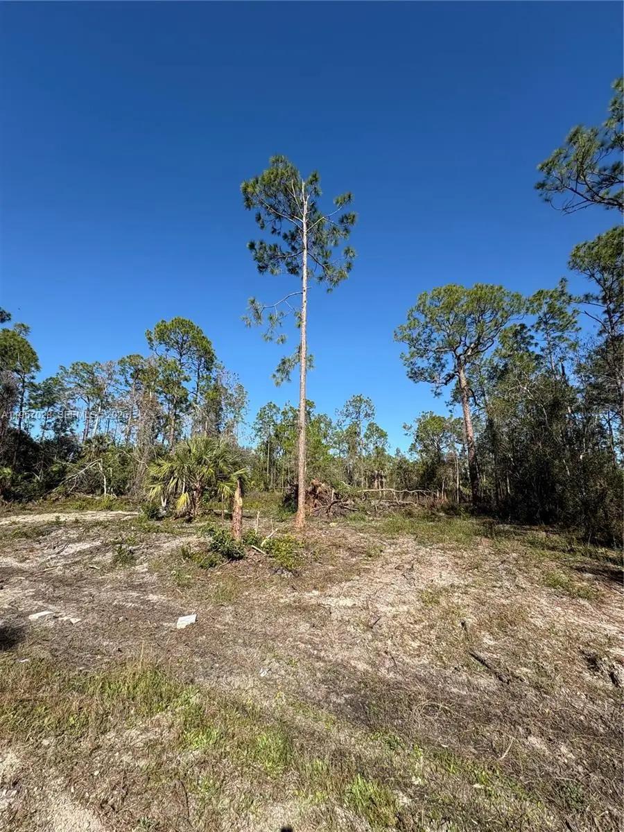 230 Ocean Park Dr, Lehigh Acres, FL 33972 - Image #2