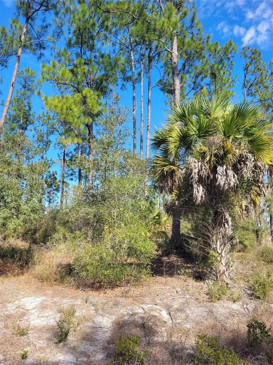 7620 19th Pl Wheeler, Labelle, FL 33935 - #3