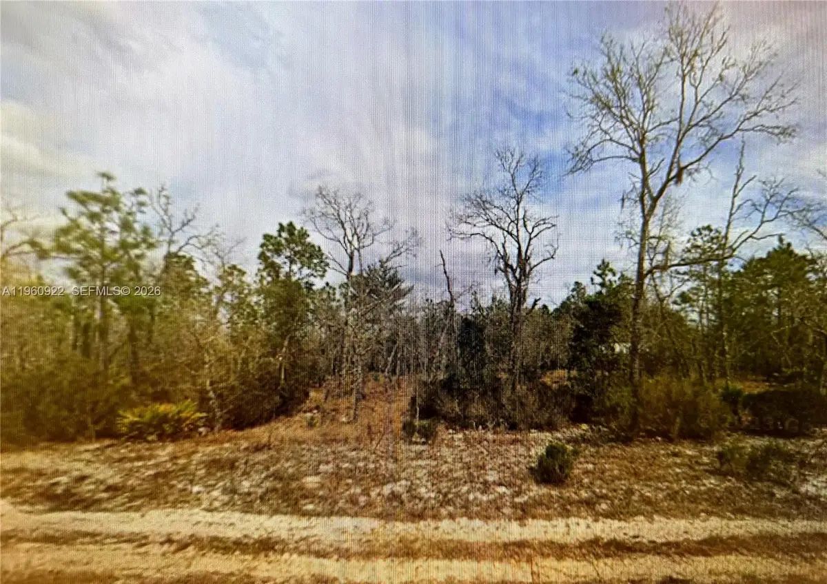 00 Hudson St, Palatka, FL 32148 - #1