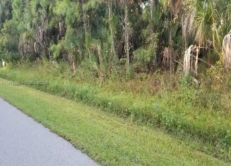 0 Cloras St, North Port, FL 34287 - Image #1